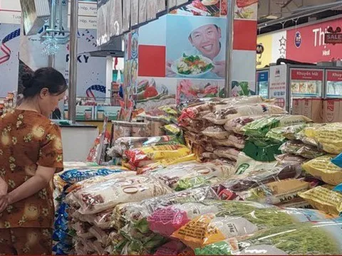 Giá gạo tiếp tục tăng, sản xuất vụ Thu Đông tăng tốc