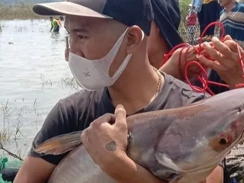 Thủy điện Trị An đóng đập tràn, người dân được mùa bắt cá 'khủng'