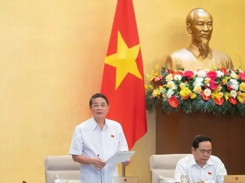 Hàng triệu số điện thoại đẹp dự kiến sẽ được đấu giá với cùng mức khởi điểm