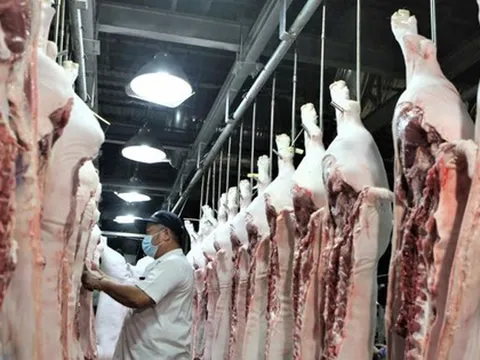 Thịt nội lép vế trên sân nhà, khó xuất khẩu