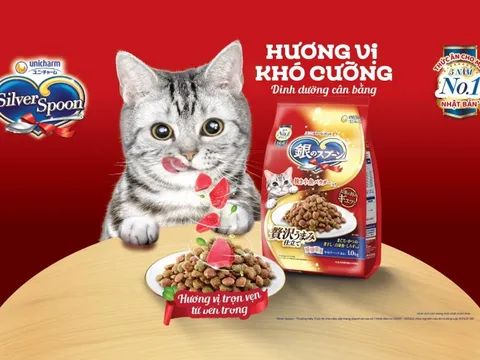 Silver Spoon tinh hoa ẩm thực Nhật chinh phục mèo sành ăn