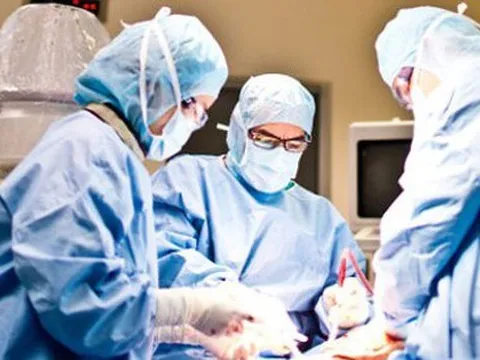 Suýt mất chân từ một vết côn trùng cắn