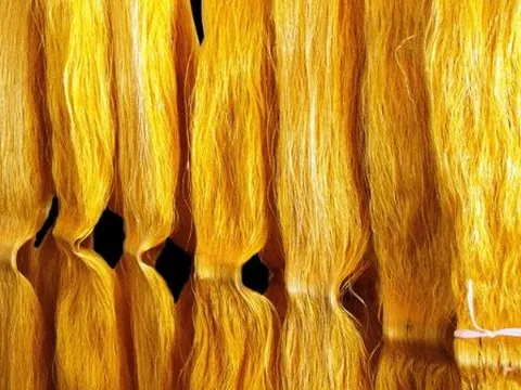 Một mặt hàng của Việt Nam ngày càng được người Nga ưa chuộng: Chi mạnh tay nhập khẩu trong 7 tháng đầu năm, Việt Nam xuất khẩu đứng thứ 3 thế giới