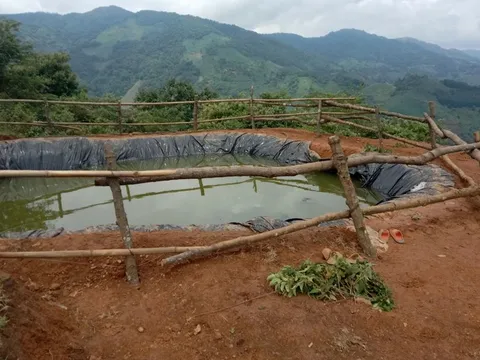 Bàng hoàng phát hiện thi thể 3 trẻ chăn trâu dưới hồ trữ nước