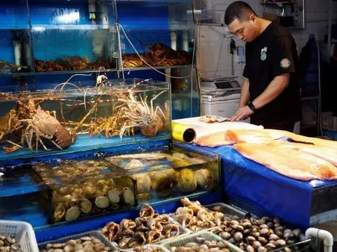 Trung Quốc cấm nhập khẩu thủy sản từ Nhật Bản: Một quốc gia chuẩn bị "trúng đậm", là nhà cung cấp lớn nhất cho thị trường tỷ dân