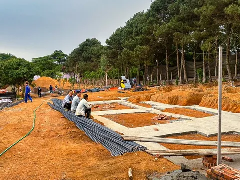 Cưỡng chế loạt biệt thự, homestay "xẻ thịt" đất rừng Sóc Sơn