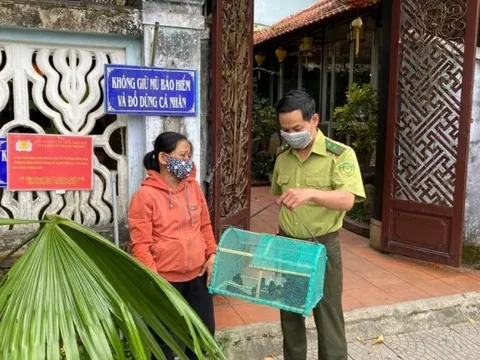 Thừa Thiên-Huế cấm bán chim trời để phóng sinh trước cửa chùa