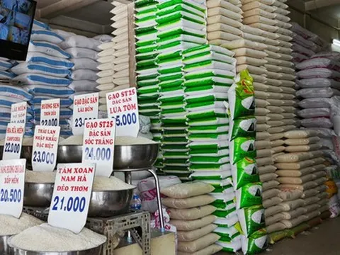 Chủ tịch UBND TP HCM có chỉ đạo nóng về giá gạo