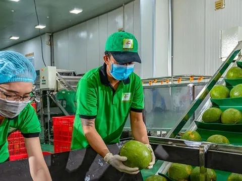 Trung Quốc chi 2,2 tỷ USD nhập rau quả Việt Nam, tăng 130%