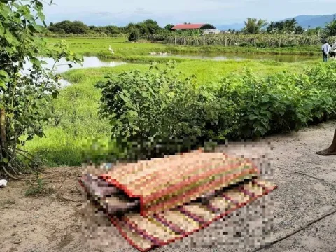 Bình Thuận: Hai chị em gái chết đuối dưới ao gần nhà