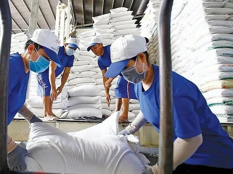 Sau loạt 'tin dữ' từ Ấn Độ, Myanmar - gạo xuất khẩu Việt Nam lập đỉnh 15 năm, giá cao nhất thế giới