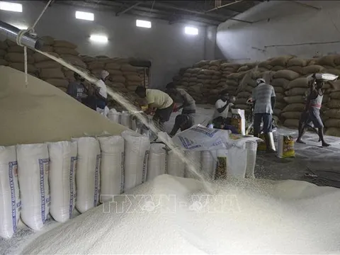 Giao nhận hàng đình trệ sau khi Ấn Độ áp thuế xuất khẩu 20% đối với gạo đồ