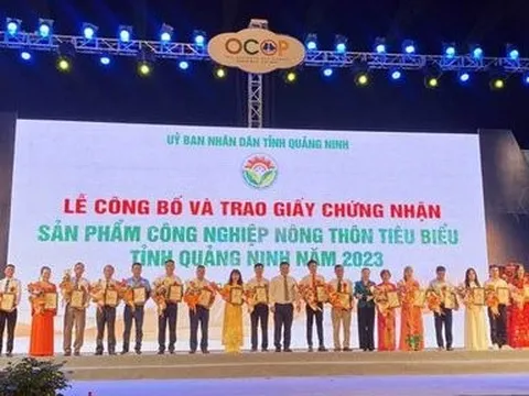 Quảng Ninh: Khai trương sàn thương mại điện tử OCOP