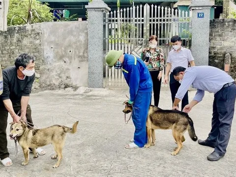 Bé gái ở Quảng Bình tử vong sau 4 tháng bị chó dại cắn