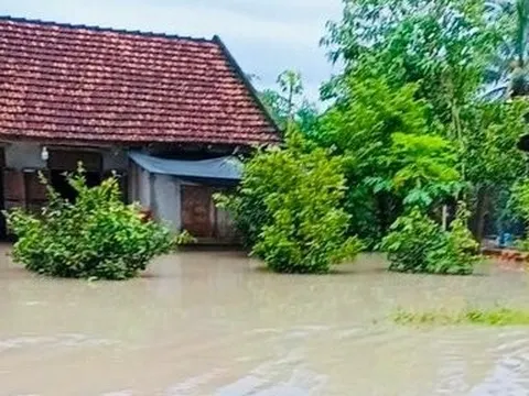 Bình Thuận: Thiệt hại hàng trăm triệu đồng do mưa lớn, sét và lốc xoáy