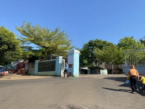 Đắk Nông chỉ đạo lập đoàn thanh tra việc chậm trễ mua vật tư y tế