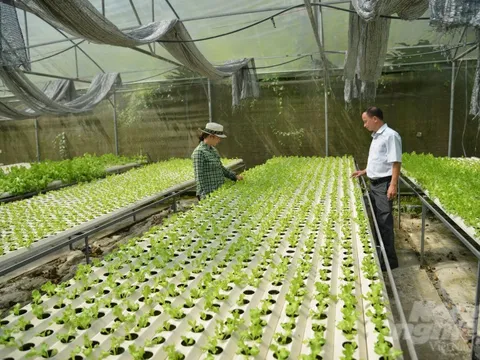 Phát triển nông nghiệp ở TP HCM còn gặp vướng mắc