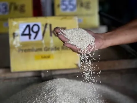 Một quốc gia châu Á chính thức áp giá trần đối với gạo để ngăn chặn bão giá, là khách hàng lớn nhất nhập khẩu gạo Việt Nam