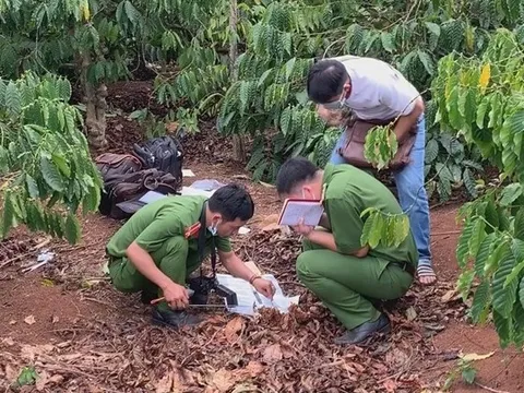Tá hỏa phát hiện bộ xương người lộ thiên trong vườn cà phê