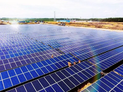 BCG Energy trước thềm IPO: Tài sản gần 20.000 tỷ đồng, lợi nhuận nửa đầu năm 2023 'vỏn vẹn' 8 tỷ đồng