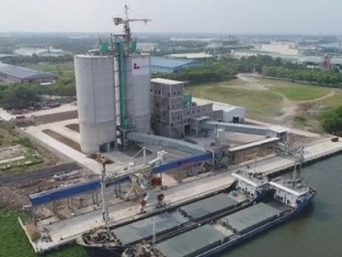 Xi măng Long Thành báo lãi 2,7 tỷ đồng nửa đầu năm