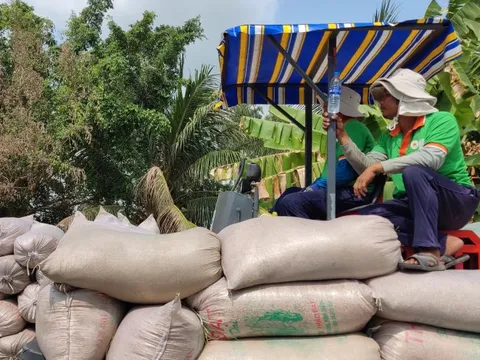 Philippines áp trần giá gạo, nhà nhập khẩu đòi hủy đơn hàng, gạo Việt Nam sẽ ra sao?