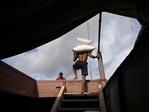 'Phép thử' mang tên Ấn Độ khiến thị trường gạo rung chuyển - Ai khóc, ai cười?