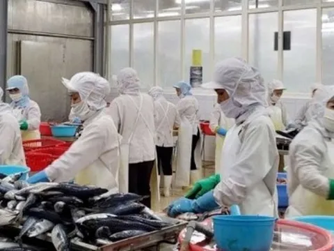 Qua 8 tháng, nông lâm, thủy sản xuất siêu 6,72 tỷ USD