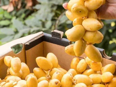 Mặt hàng sang chảnh giới nhà giàu Dubai quý như vàng bất ngờ đổ bộ chợ Việt Nam, giá cực rẻ