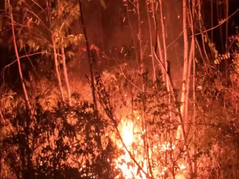 Chữa cháy rừng, 1 người bị chết não vì ngạt khói