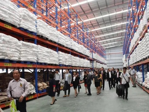 Doanh nghiệp nhựa hơn 60 năm tuổi muốn phát hành 30 triệu cổ phiếu riêng lẻ để tăng vốn trả nợ ngân hàng