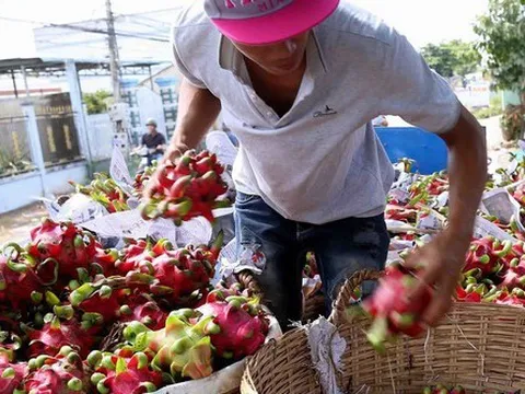 Thực hư thông tin siêu thị Anh ngừng bán thanh long Việt Nam