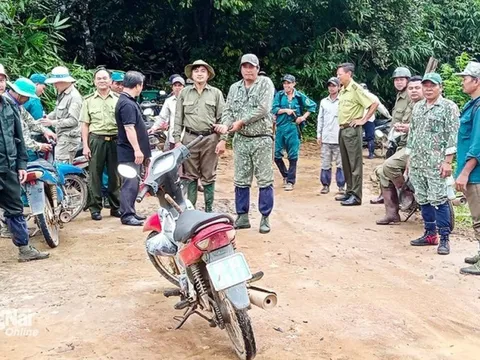 Đồng Nai: Hàng trăm người vào rừng tìm kiếm người đàn ông mất tích