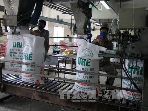 Dự báo giá ure trong nước sẽ tăng trong quý IV tới