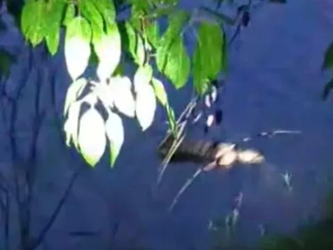 Thừa Thiên-Huế: Phát hiện thi thể nam thanh niên trôi trên sông