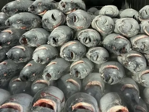 Một mặt hàng giá rẻ của Việt Nam đang đổ bộ vào Hàn Quốc: Được người dân cực kỳ ưa chuộng, xuất khẩu tăng mạnh trong 7 tháng đầu năm