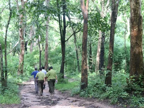 Đại diện cơ quan giám sát của Quốc hội lên tiếng về Dự án hồ chứa nước Ka Pét