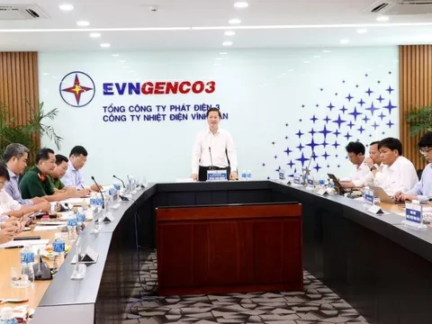 Xử lý, tiêu thụ tro xỉ Nhà máy Nhiệt điện Vĩnh Tân 2 đến nay ra sao?