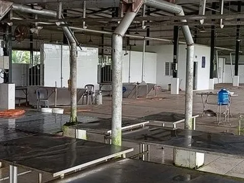 Đồng Nai: Cơ sở giết mổ tiền tỷ vắng lặng, lò mổ lậu âm thầm hoạt động