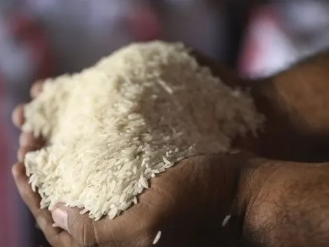 Một quốc gia châu Á giới hạn mua gạo 100kg/người do giá tăng phi mã, là khách “ruột” của gạo Việt Nam