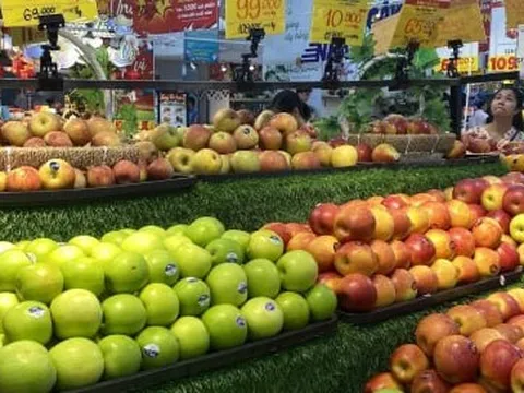 Trái cây nhập ngoại tràn ngập thị trường, giá rẻ chưa từng có