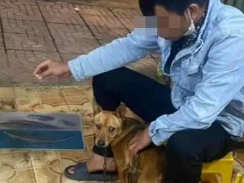 Người đàn ông tử vong sau 3 tháng bị mèo cắn