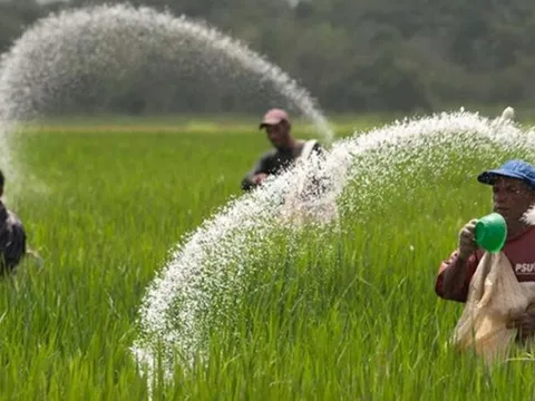 Trung Quốc cấm xuất khẩu phân bón: Ngành nông nghiệp của quốc gia nước láng giềng lại thêm chao đảo dù nắm giữ sản lượng lớn thứ 3 thế giới