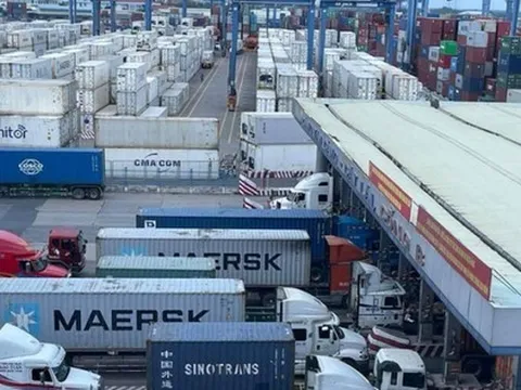 Hàng trăm container chuối, mít, sầu riêng bất ngờ bị 'tuýt còi' xuất Trung Quốc