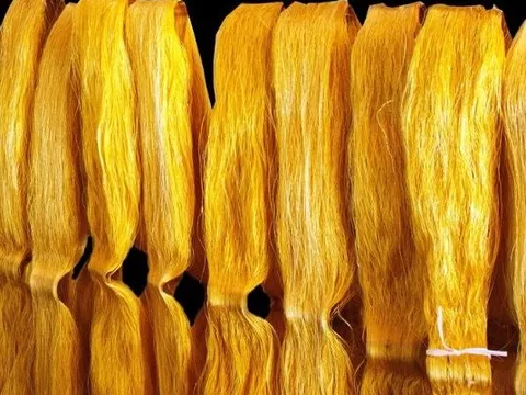 Một mặt hàng của Việt Nam được người dân quốc gia châu Phi cực kỳ ưa chuộng: Xuất khẩu tăng 45 lần trong 7 tháng đầu năm, Việt Nam xuất khẩu đứng thứ 3 thế giới