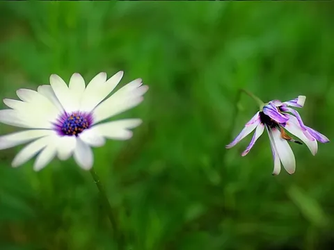 Ngày VNIndex giảm gần 18 điểm, vẫn có những DN được kỳ vọng, cổ phiếu cao nhất một năm, thậm chí vượt đỉnh lịch sử