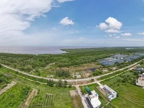 Thái Bình lên tiếng về Khu bảo tồn thiên nhiên Tiền Hải