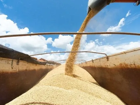Một quốc gia châu Mỹ đang trở thành “ông trùm” nông sản mới của thế giới: Xuất khẩu 3 mặt hàng quan trọng đứng đầu trên toàn cầu, là nhà cung cấp lớn của Việt Nam