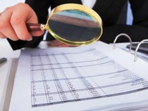 Hải Phát, Geleximco, Sơn Kim... vào danh sách 42 DN bị kiểm tra chuyên ngành của Tổng cục Thuế