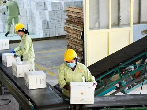 Ba mặt hàng nông sản vào nhóm tỉ USD